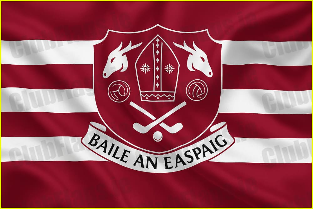 Bishopstown GAA Flag - GAA Clubs