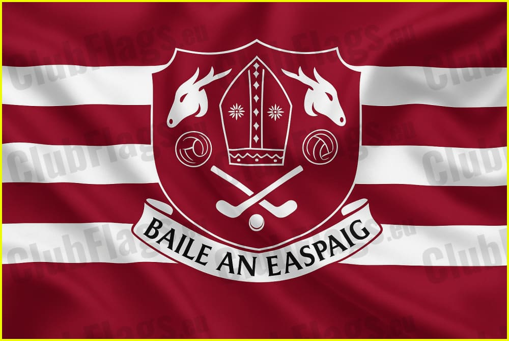 Bishopstown GAA Flag GAA Clubs