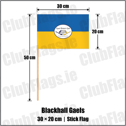 Blackhall Gaels 20cm x 30cm Stick Flag with the club crest and colours, Meath GAA - ClubFlags.ie