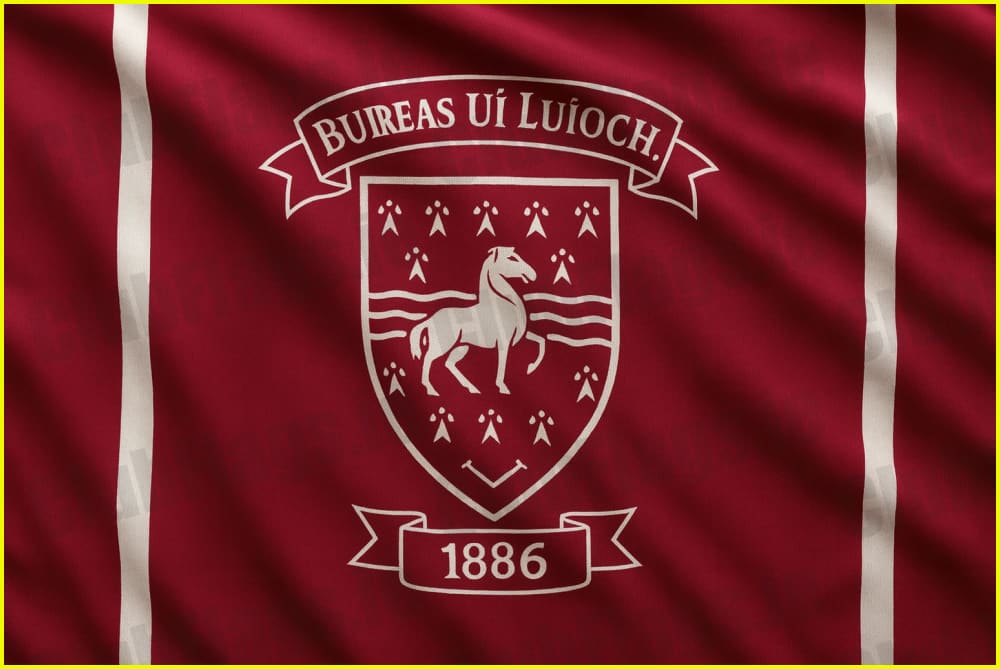 Borris-Ileigh GAA Club Flag - GAA Clubs