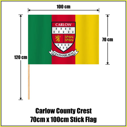 Carlow county crest 70 × 100 cm stick flag in green, red and yellow, with a 120 cm wooden stick and dimension arrows.