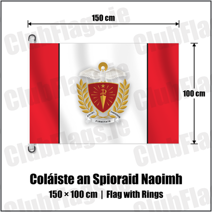 Coláiste an Spioraid Naoimh 150cm x 100cm Flag Pole Flag with Rings with the club crest and colours, Cork GAA - ClubFlags.ie