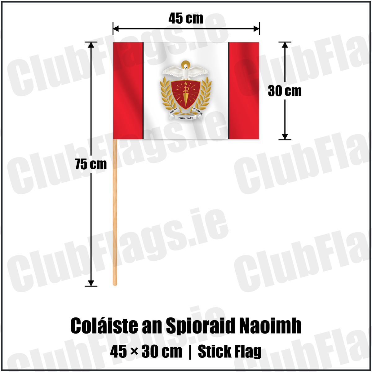 Coláiste an Spioraid Naoimh 30cm x 45cm Stick Flag with the club crest and colours, Cork GAA - ClubFlags.ie