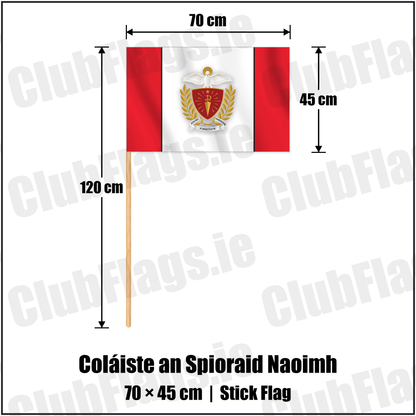 Coláiste an Spioraid Naoimh 45cm x 70cm Stick Flag with the club crest and colours, Cork GAA - ClubFlags.ie