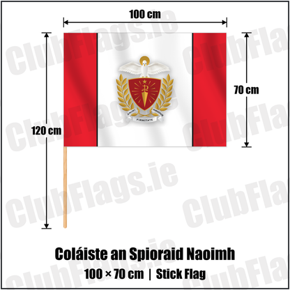 Coláiste an Spioraid Naoimh 70cm x 100cm Stick Flag with the club crest and colours, Cork GAA - ClubFlags.ie
