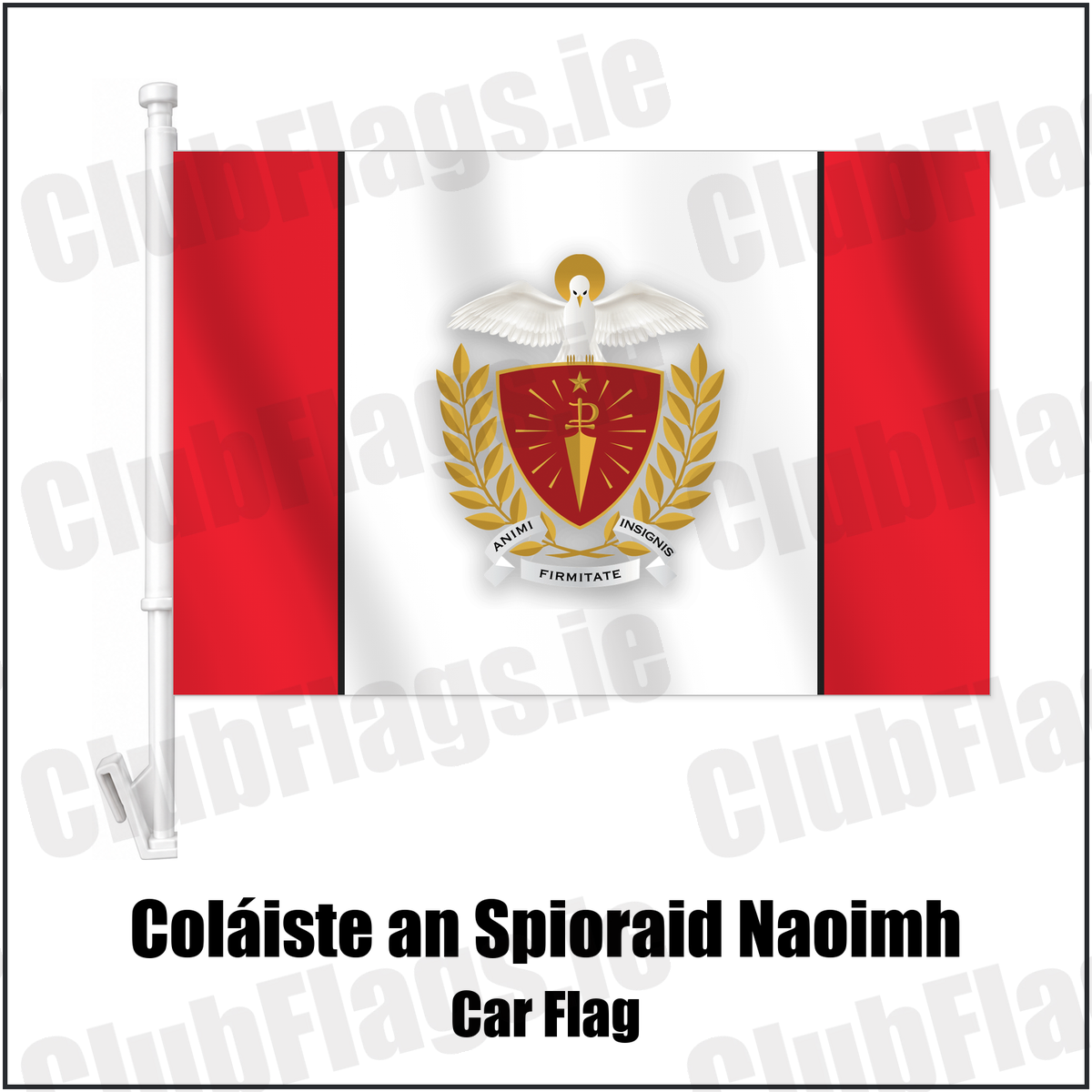 Coláiste an Spioraid Naoimh Car Flag with the club crest and colours, Cork GAA - ClubFlags.ie