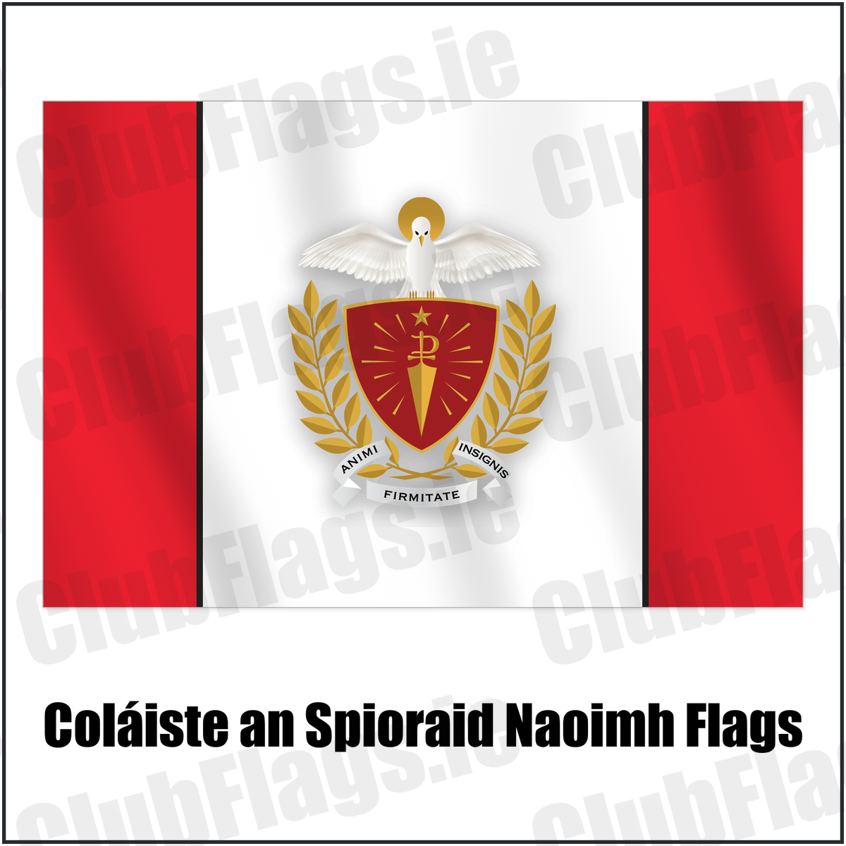 Coláiste an Spioraid Naoimh Flags with the club crest and colours, Cork GAA - ClubFlags.ie