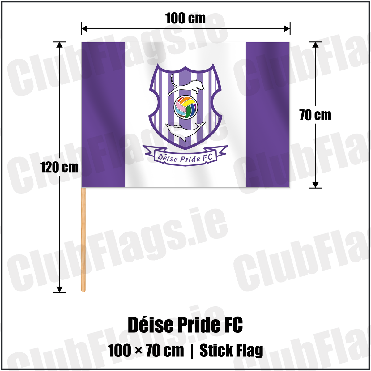 Déise Pride FC 70cm x 100cm Stick Flag with the club crest and colours, Waterford Football - ClubFlags.ie