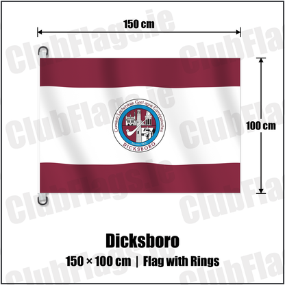Dicksboro 150cm x 100cm Flag Pole Flag with Rings with the club crest and colours, Kilkenny GAA - ClubFlags.ie