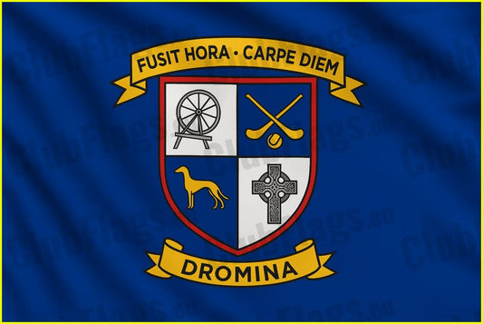 Dromina Gaa Club flag - GAA Clubs