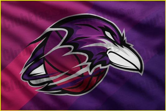 Dundalk Ravens Basketball Club Flag - Basketball Clubs