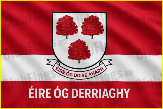 Éire Óg Derriaghy GAC Club Flags - GAA Clubs