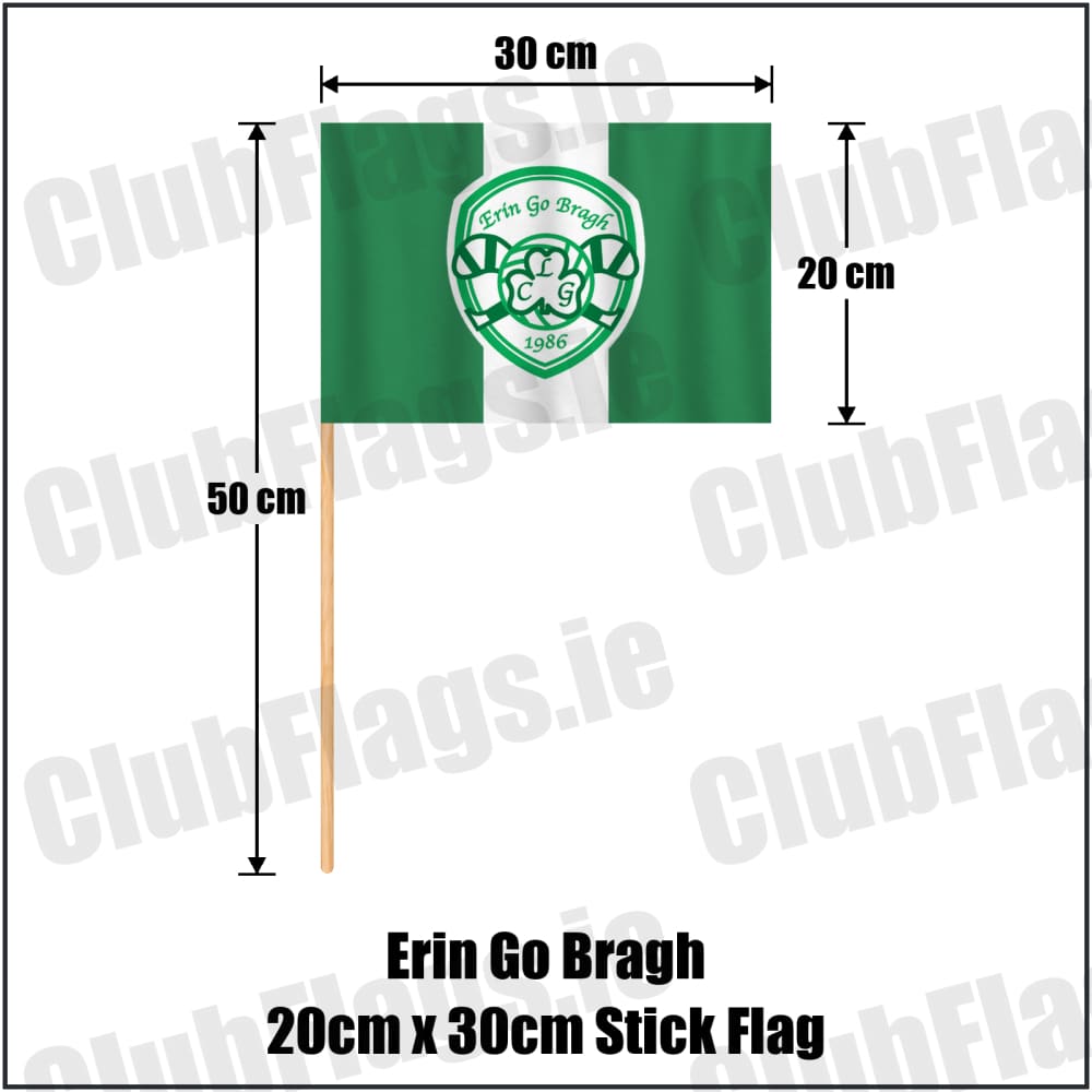 Erin Go Bragh 20cm x 30cm Stick Flag in green and white, featuring the club crest on realistic fabric with gentle vertical folds; County Dublin GAA. ClubFlags.ie.