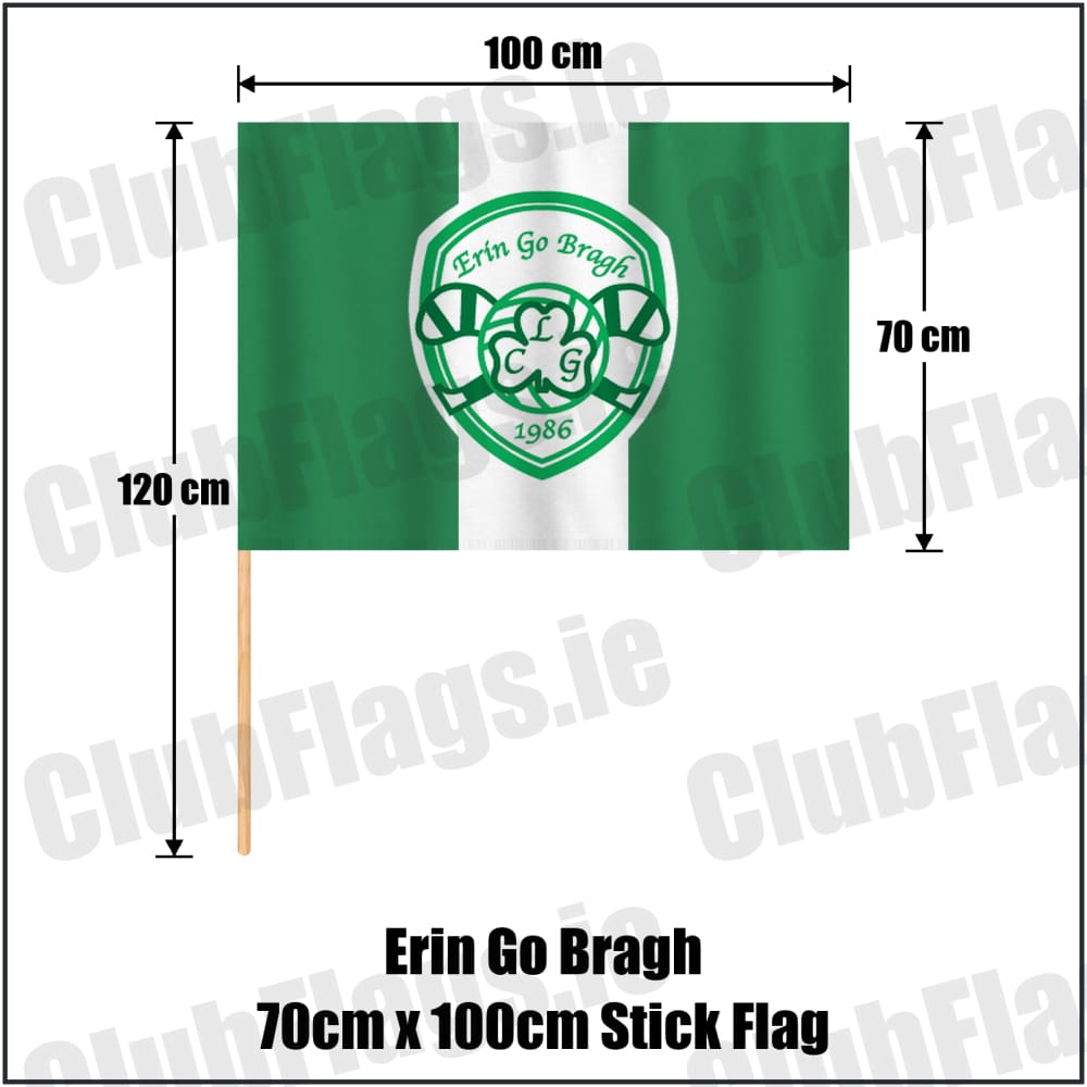 Erin Go Bragh 70cm x 100cm Stick Flag in green and white, featuring the club crest on realistic fabric with gentle vertical folds; County Dublin GAA. ClubFlags.ie.