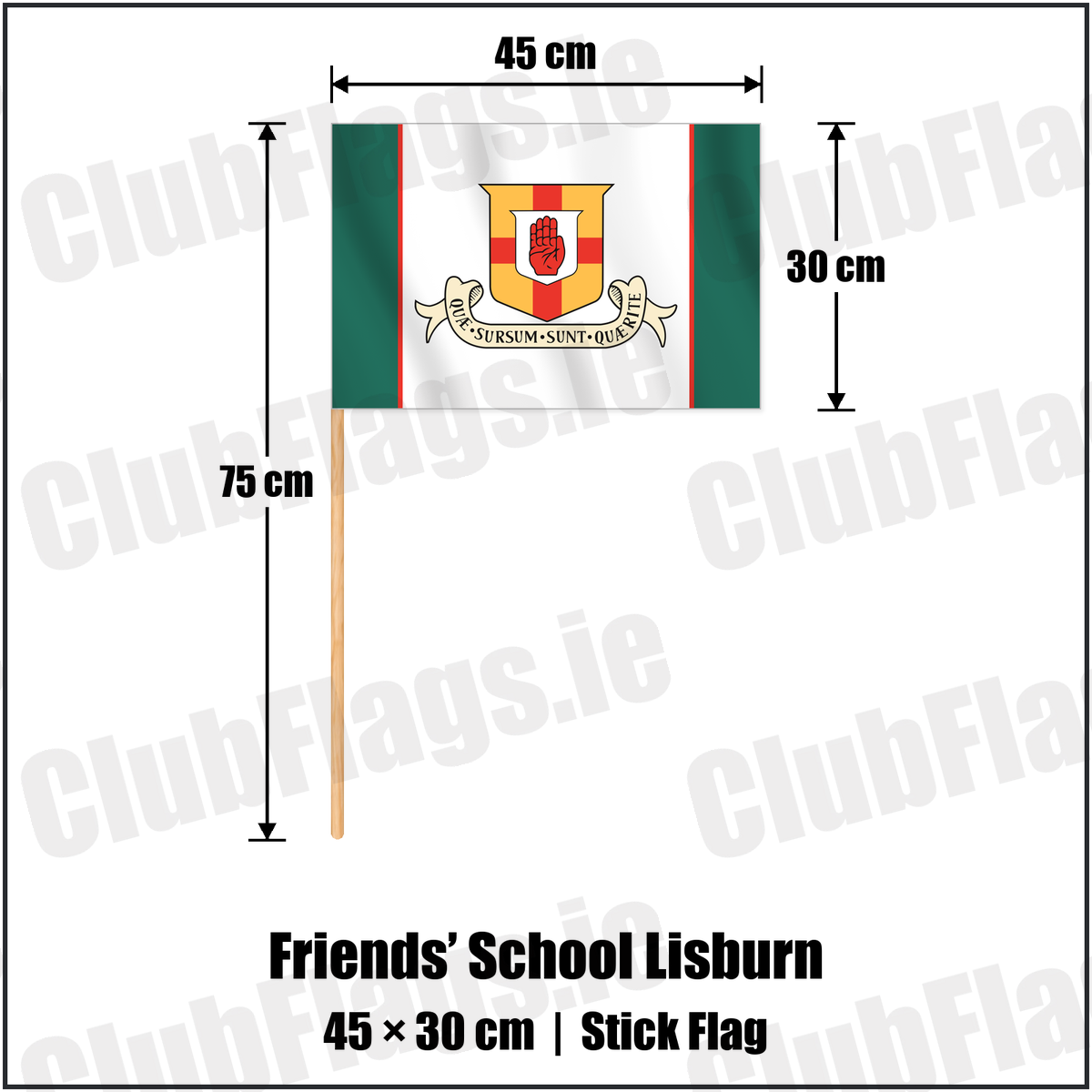 Friends’ School Lisburn 30cm x 45cm Stick Flag with the club crest and colours, Antrim Rugby - ClubFlags.ie