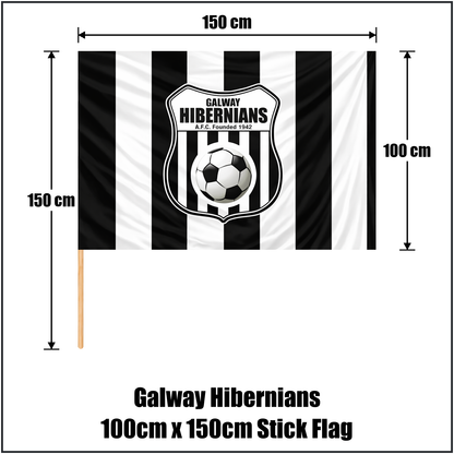 Galway Hibernians 100cm x 150cm Stick Flag - ClubFlags.ie