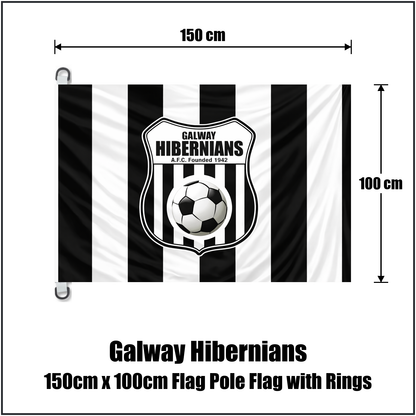 Galway Hibernians 150cm x 100cm Flag Pole Flag with Rings - ClubFlags.ie