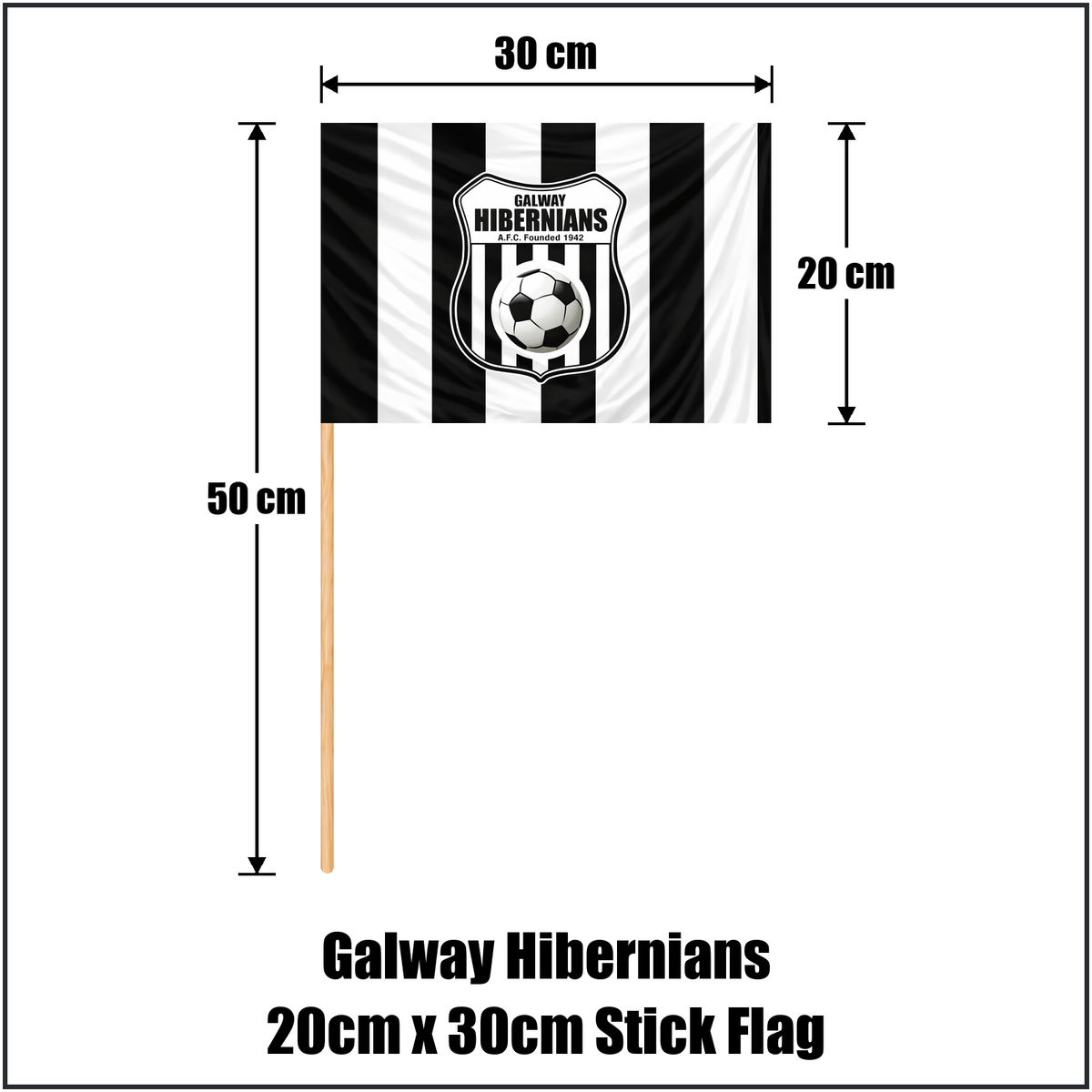 Galway Hibernians 20cm x 30cm Stick Flag - ClubFlags.ie