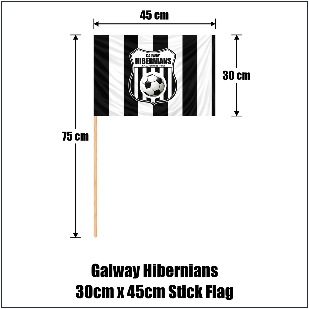 Galway Hibernians 30cm x 45cm Stick Flag - ClubFlags.ie
