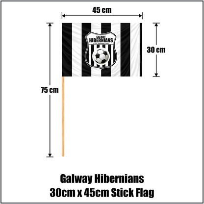 Galway Hibernians 30cm x 45cm Stick Flag - ClubFlags.ie
