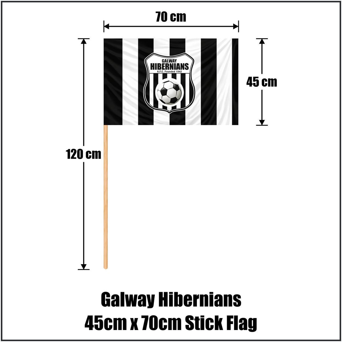 Galway Hibernians 45cm x 70cm Stick Flag - ClubFlags.ie