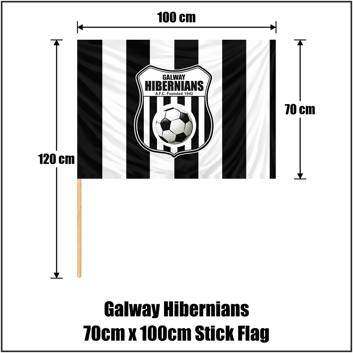 Galway Hibernians 70cm x 100cm Stick Flag - ClubFlags.ie