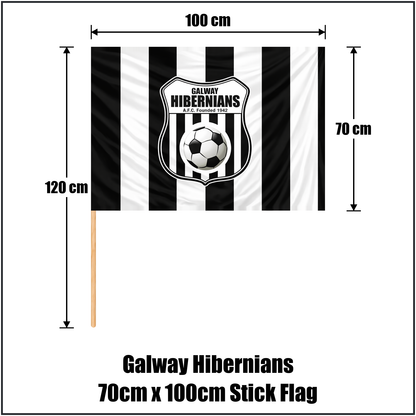 Galway Hibernians 70cm x 100cm Stick Flag - ClubFlags.ie