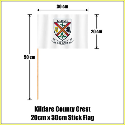 Kildare county crest 20 × 30 cm stick flag in white, with a 50 cm wooden stick and dimension arrows.