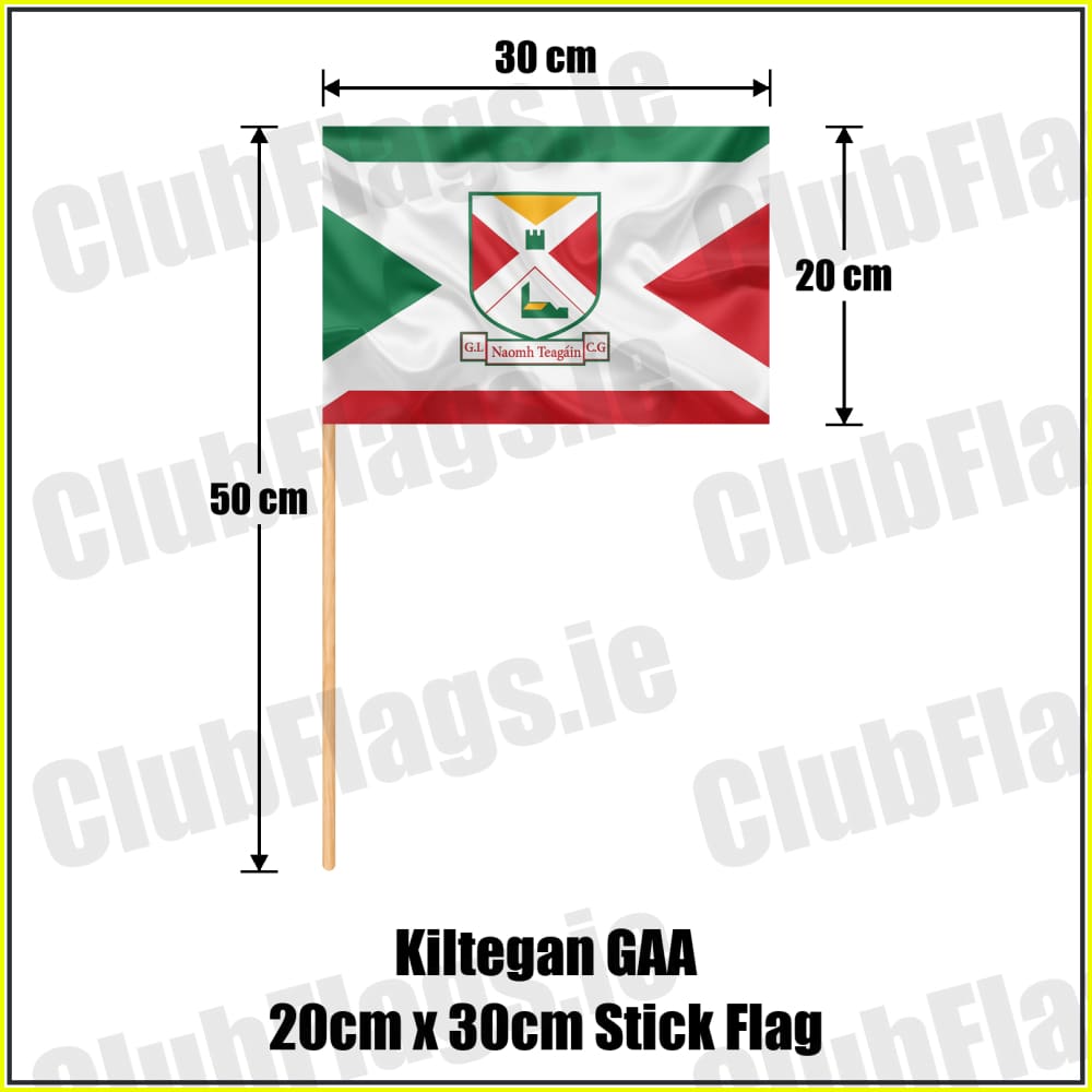 Kiltegan GAA 20cm x 30cm Stick Flag - ClubFlags.ie
