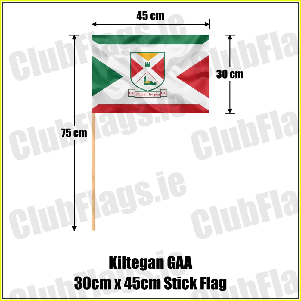 Kiltegan GAA 30cm x 45cm Stick Flag - ClubFlags.ie