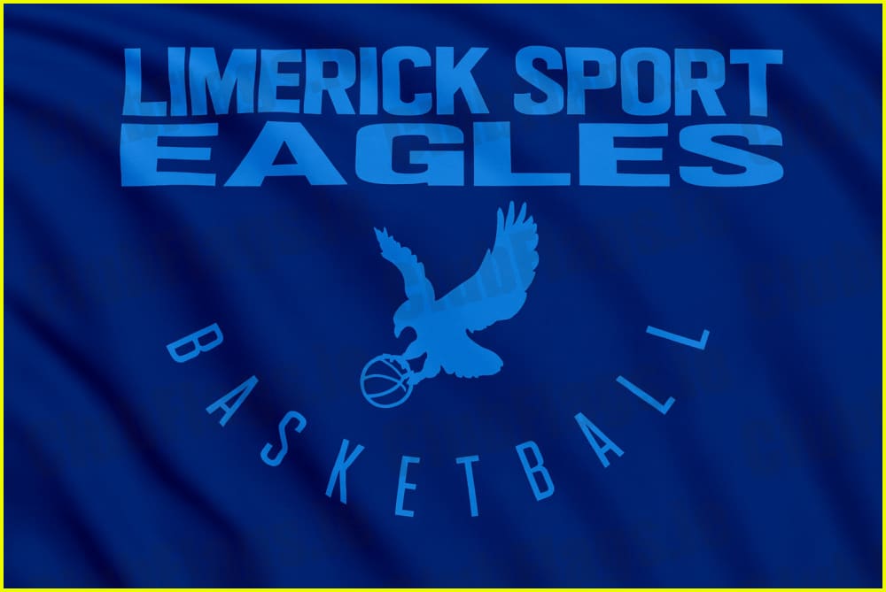 Limerick Eagles Basketball Club Flag - Basketball Clubs