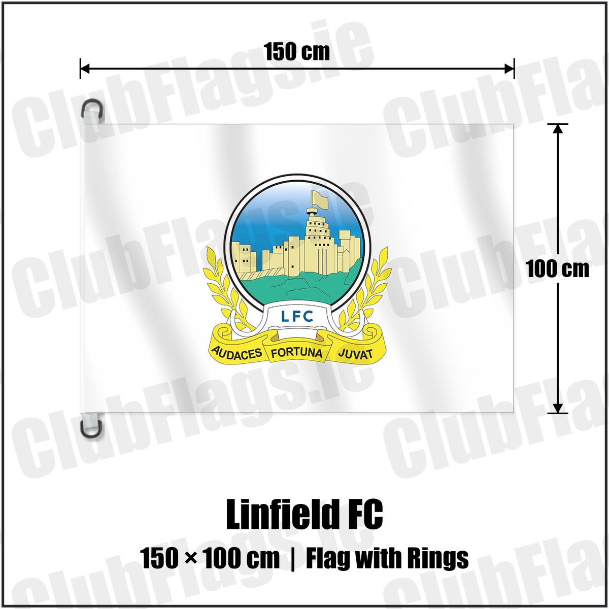Linfield FC 150cm x 100cm Flag Pole Flag with Rings with the club crest and colours, Antrim Football - ClubFlags.ie