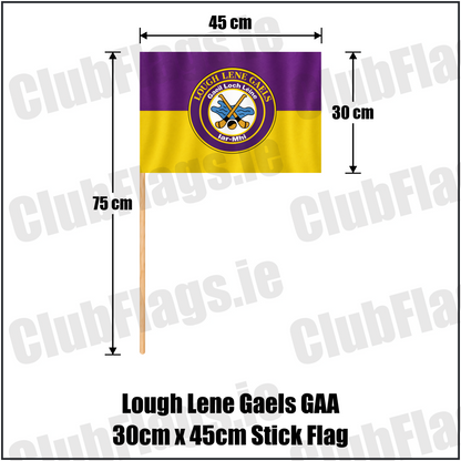 Lough Lene Gaels GAA, County Westmeath, purple and yellow flag with circular club crest and crossed hurleys; 30 x 45 cm stick flag with a 75 cm wooden stick