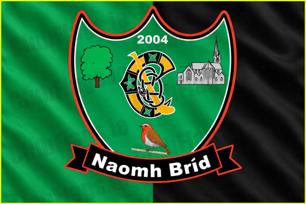 Naomh Brid Camogie Club Offaly - GAA Clubs