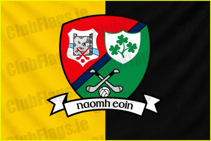 Naomh Eoin GAA Club Carlow - GAA Clubs