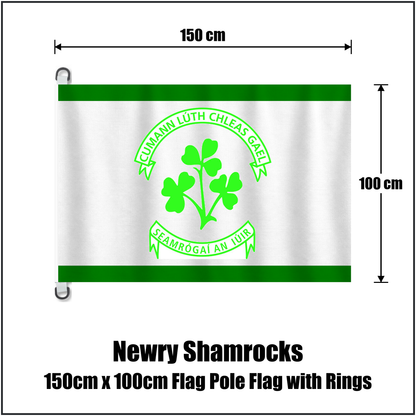 Newry Shamrocks 150cm x 100cm Flag Pole Flag with Rings, featuring the club crest and green and white colours; County Down GAA. ClubFlags.ie.