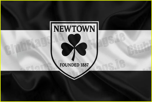 Newtown Wicklow GAA Club Flag - GAA Clubs