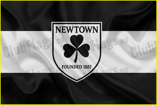 Newtown Wicklow GAA Club Flag - GAA Clubs
