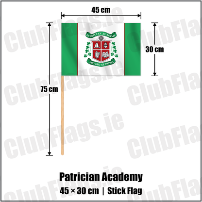 Patrician Academy 30cm x 45cm Stick Flag with the club crest and colours, Cork GAA - ClubFlags.ie