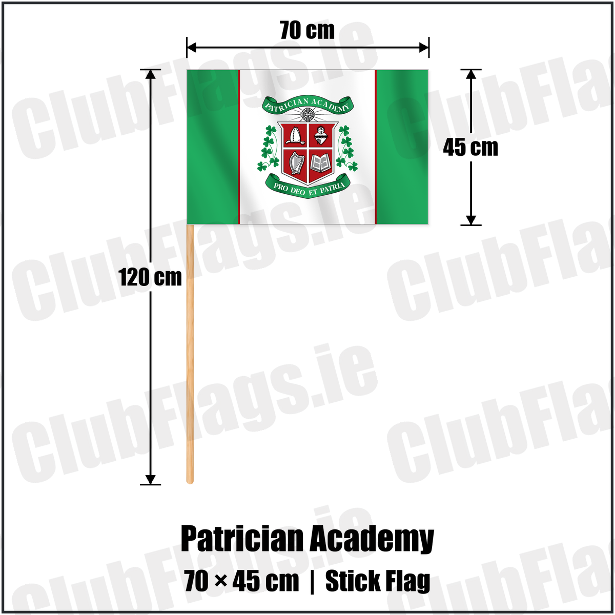 Patrician Academy 45cm x 70cm Stick Flag with the club crest and colours, Cork GAA - ClubFlags.ie
