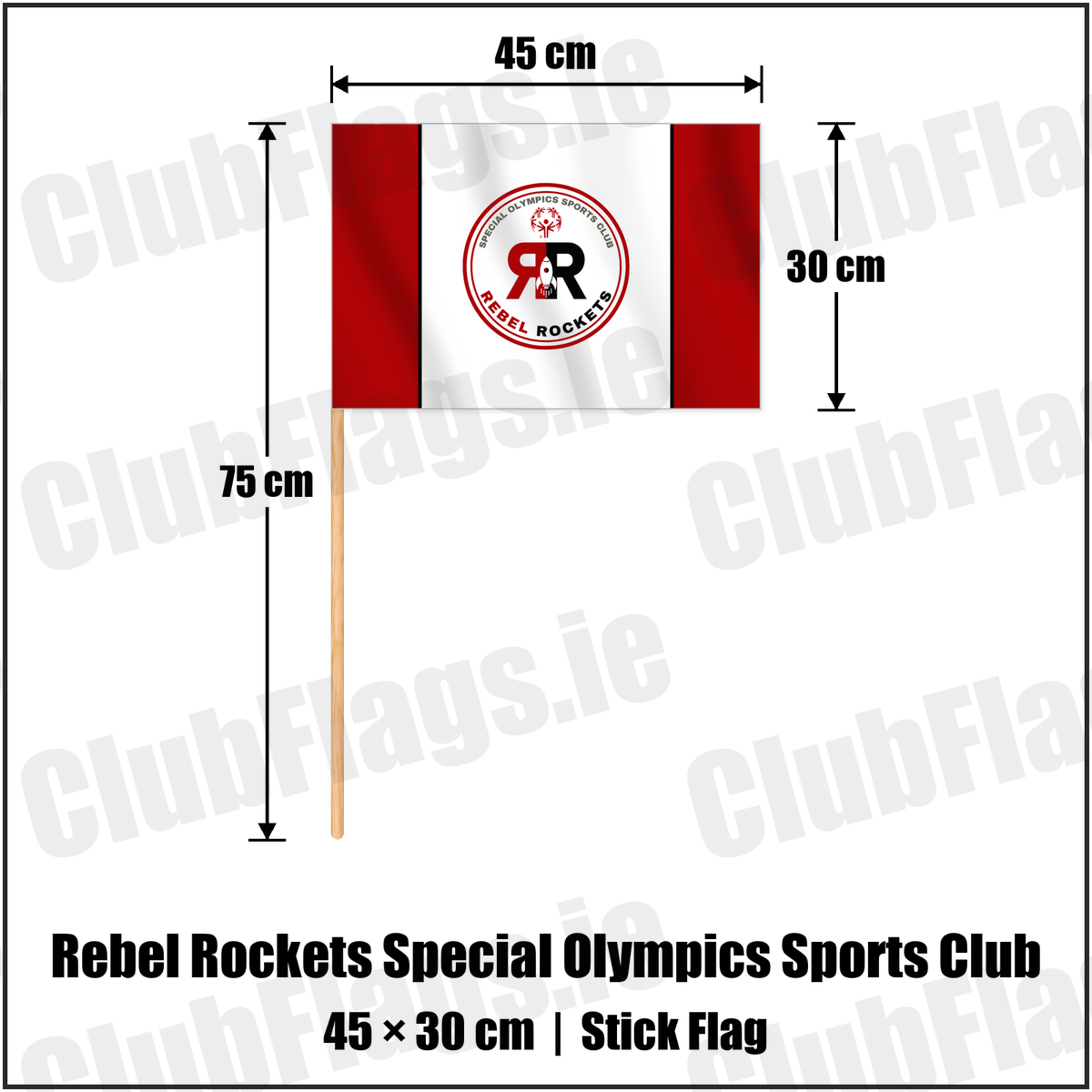 Rebel Rockets Special Olympics Sports Club 30cm x 45cm Stick Flag with the club crest and colours, Cork Basketball - ClubFlags.ie
