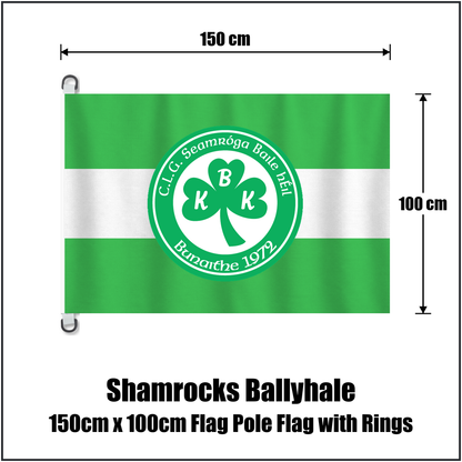 Shamrocks Ballyhale 150cm x 100cm Flag Pole Flag with Rings, featuring the club crest and green and white colours; County Kilkenny GAA. ClubFlags.ie.