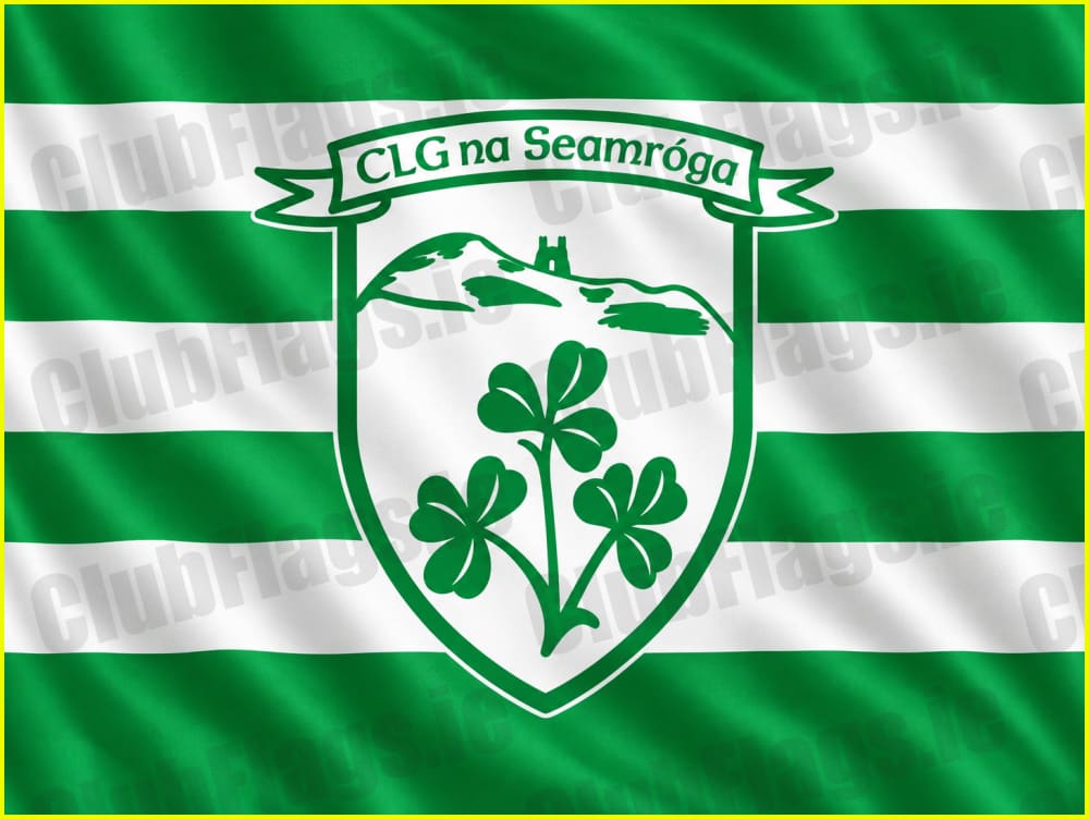 Shamrocks GAA Wexford Club Flag - GAA Clubs