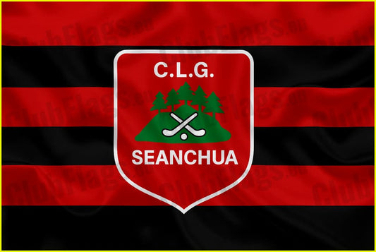 Shanahoe GAA Club Flag - GAA Clubs