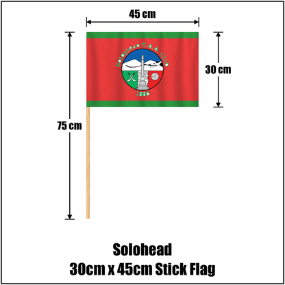 Solohead 30cm x 45cm Stick Flag, featuring the club crest and green and red colours; County Tipperary GAA. ClubFlags.ie.