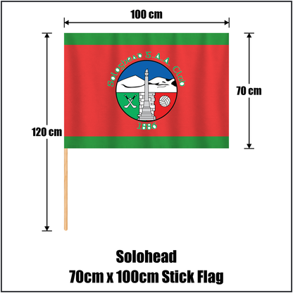 Solohead 70cm x 100cm Stick Flag, featuring the club crest and green and red colours; County Tipperary GAA. ClubFlags.ie.