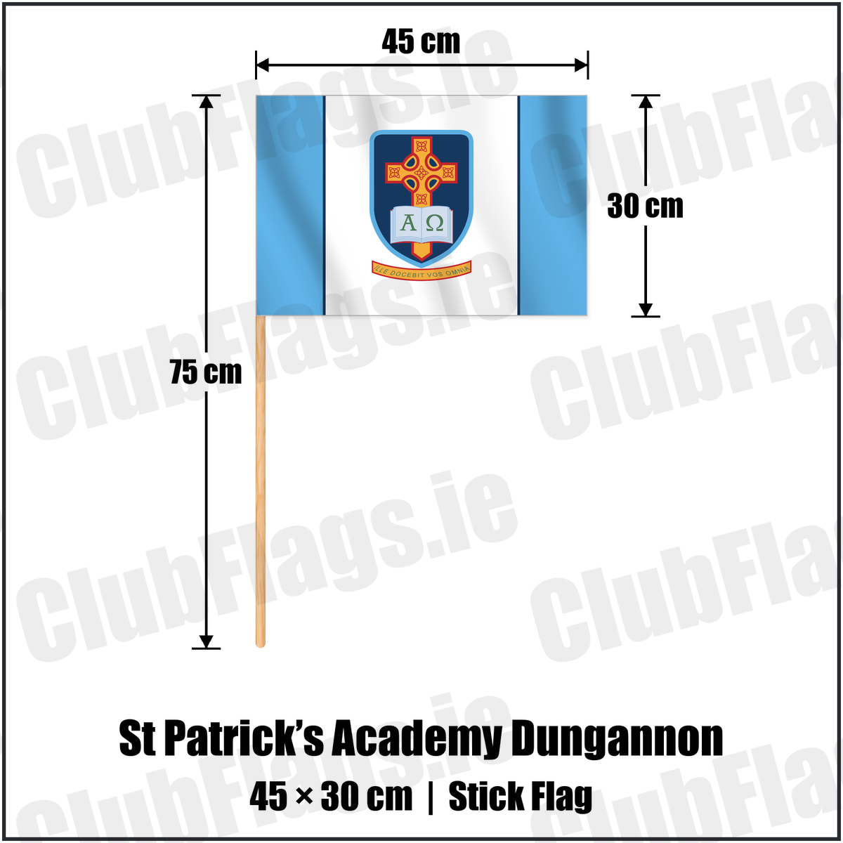 St Patrick’s Academy Dungannon 30cm x 45cm Stick Flag with the club crest and colours, Tyrone GAA - ClubFlags.ie