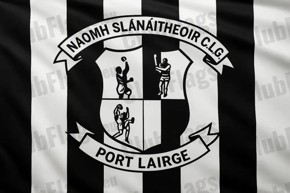 St Saviour’s GAA Club Flag GAA Clubs