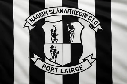 St Saviour’s GAA Club Flag GAA Clubs