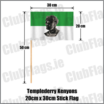 Templederry Kenyons 20cm x 30cm Stick Flag in green and white, featuring the club crest on realistic fabric with gentle vertical folds; County Tipperary GAA. ClubFlags.ie.